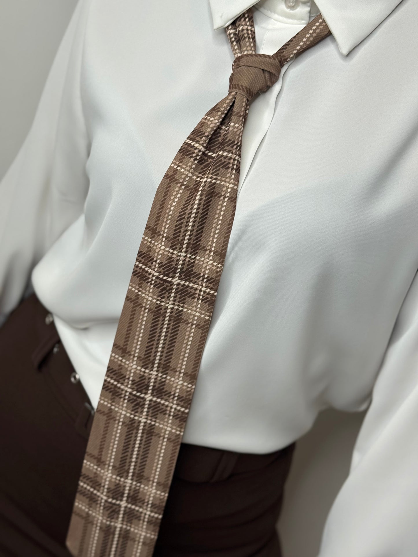 CAMICIA CON CRAVATTA più varianti colore