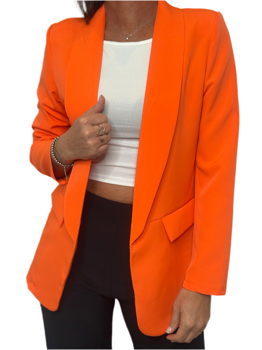 BLAZER BASIC più varianti colore
