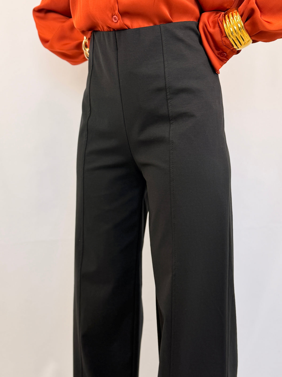 PANTA BASIC