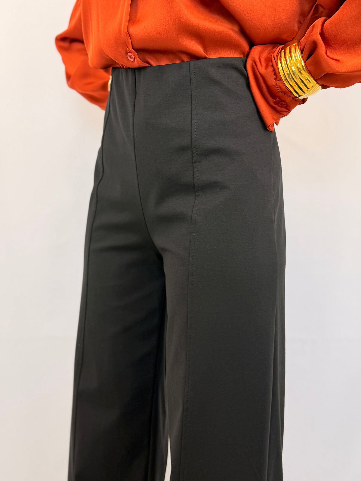 PANTA BASIC